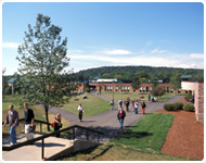 Schools 
